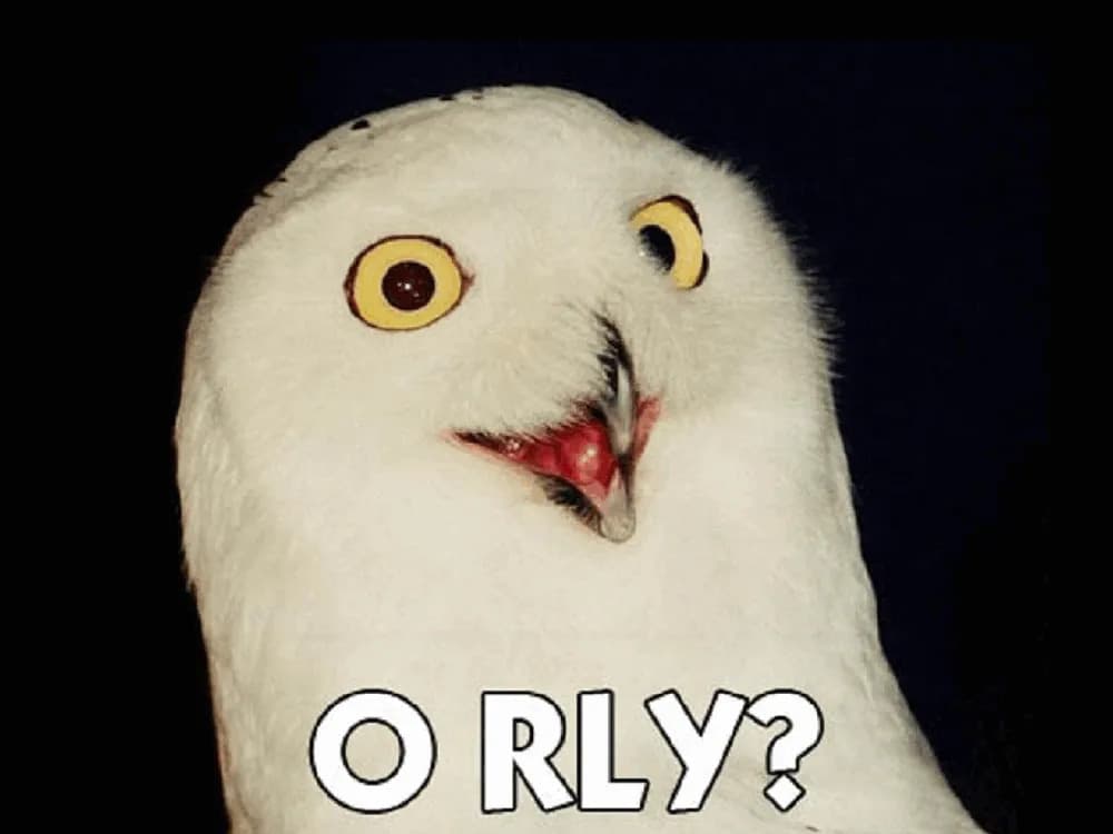 O RLY?