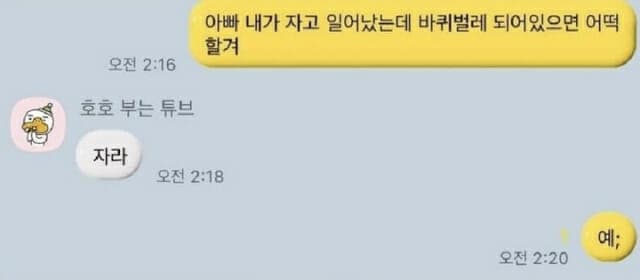 바퀴벌레 밈