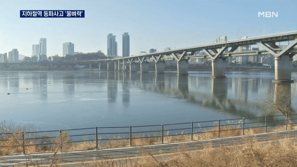 꽁꽁 얼어붙은 한강 위로 고양이가 걸어 다닙니다