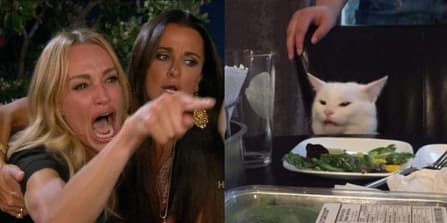Woman yelling at a cat
