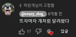 뜨자마자 개처럼 달려왔습니다