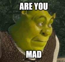 Are you mad?