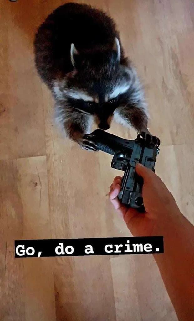 Go, Do a Crime