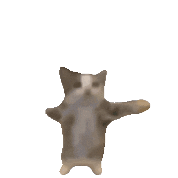 Happy Cat