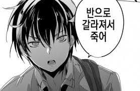 반으로 갈라져서 죽어