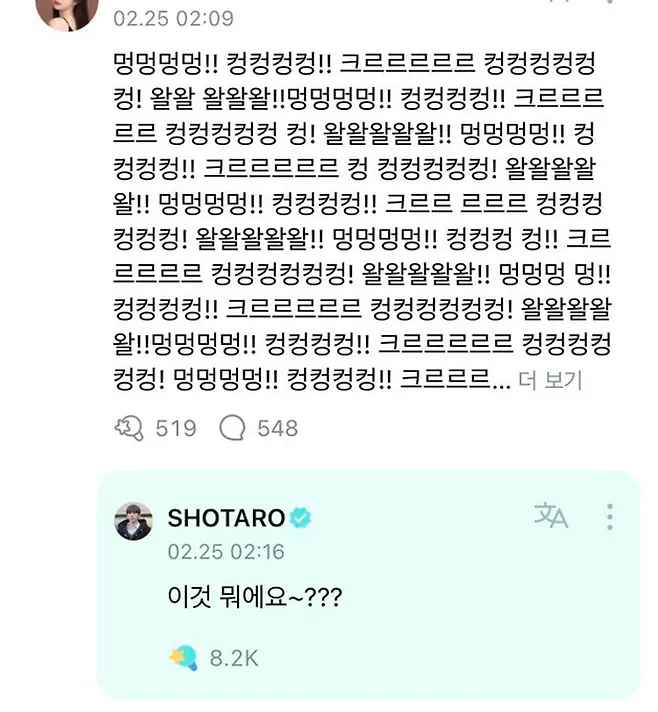 이것 뭐에요~?