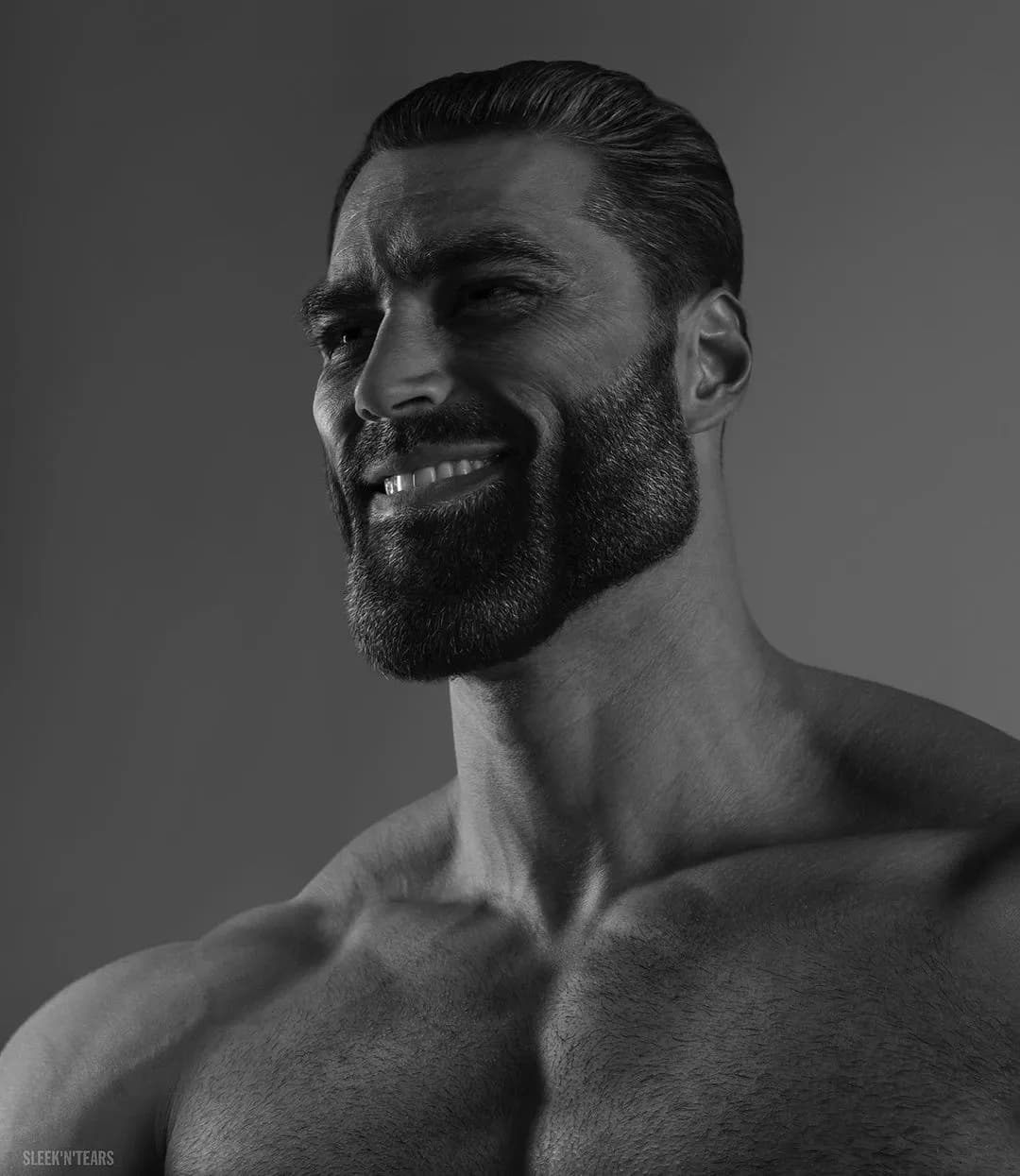 기가채드